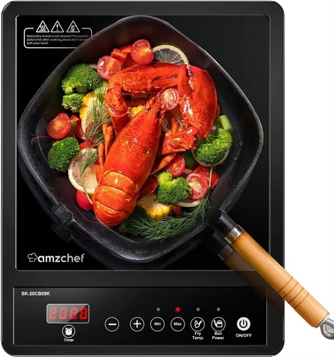 2000w single electric - single,